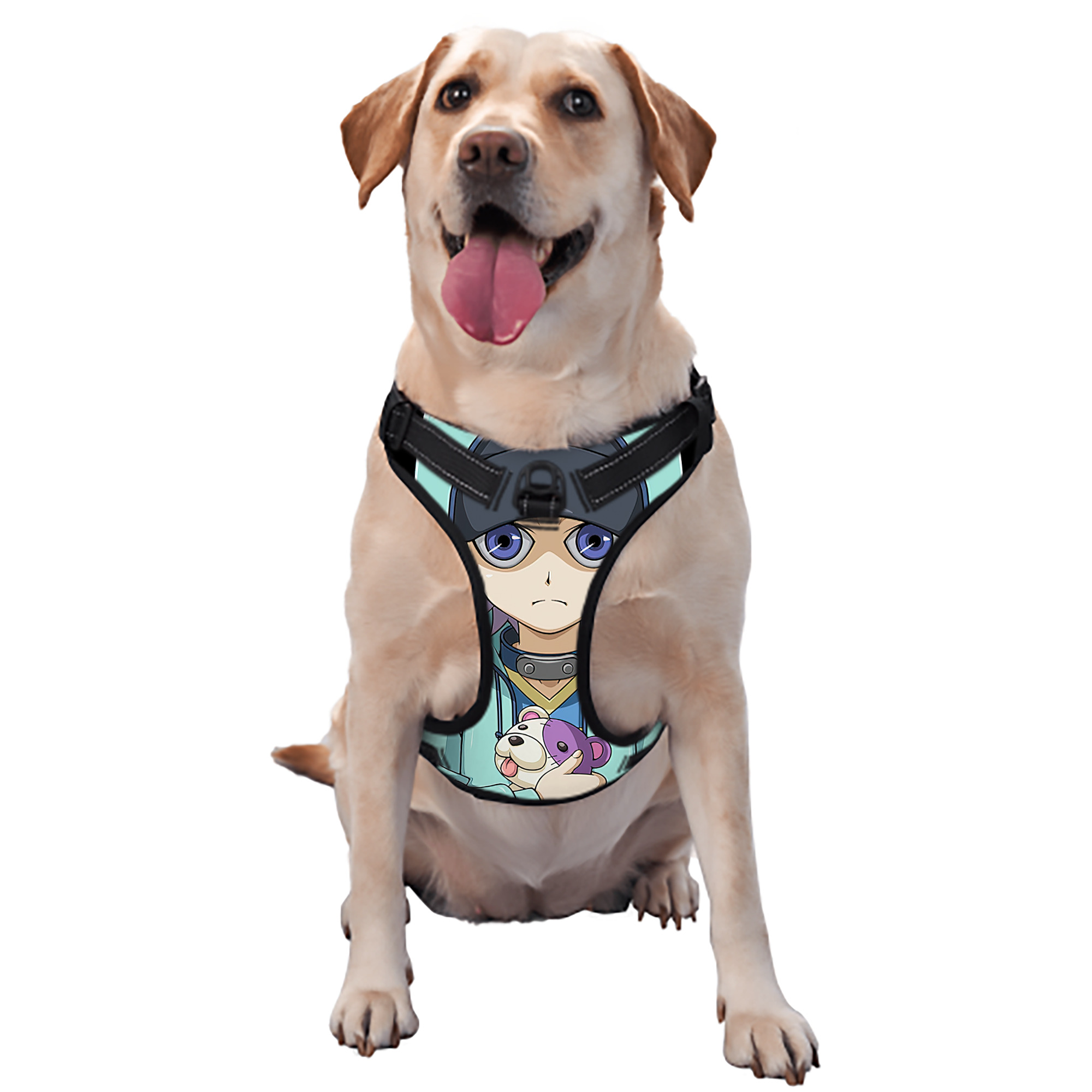 （画像用） 遊☆戯☆王 Yu-Gi-Oh! ペット用ハーネス